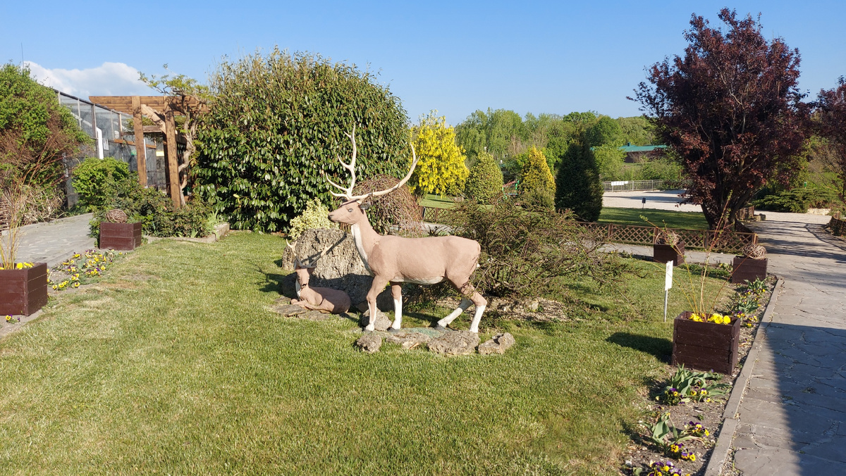 Парк живой природы До До