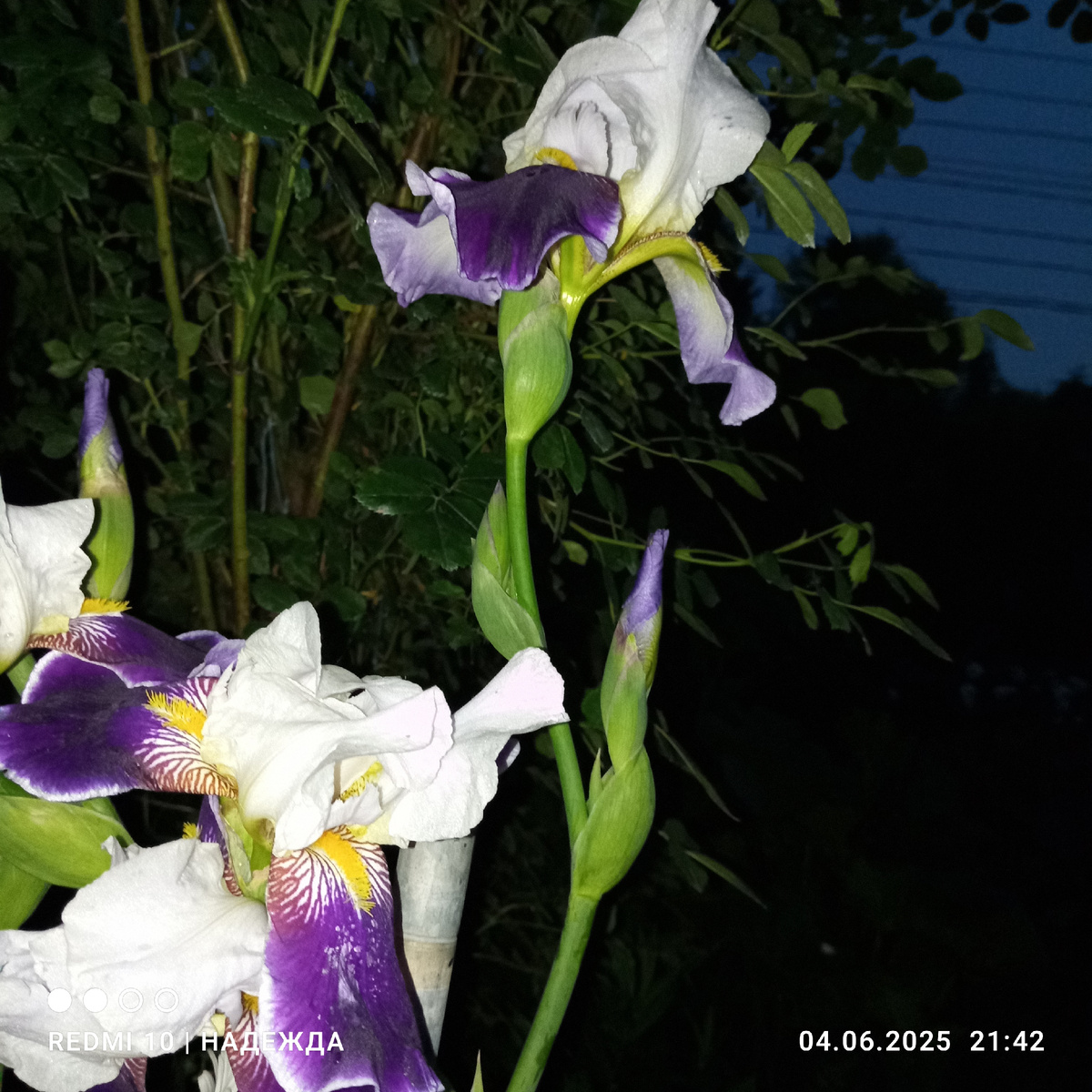 Темно. Красота- тли не видно