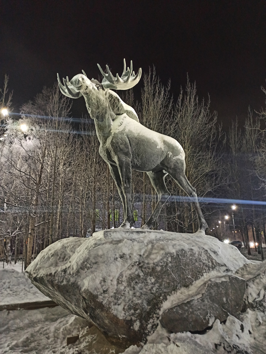 Лось и полярная ночь