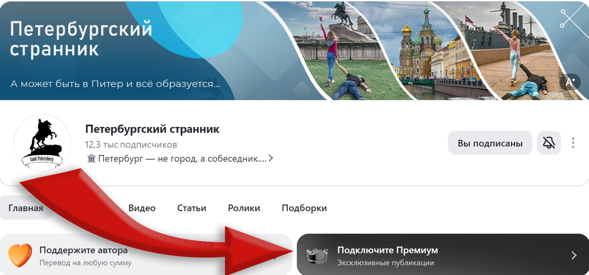 Подписчики Премиума получают не только доступ к эксклюзивным материалам, но и реальный шанс влиять на контент канала