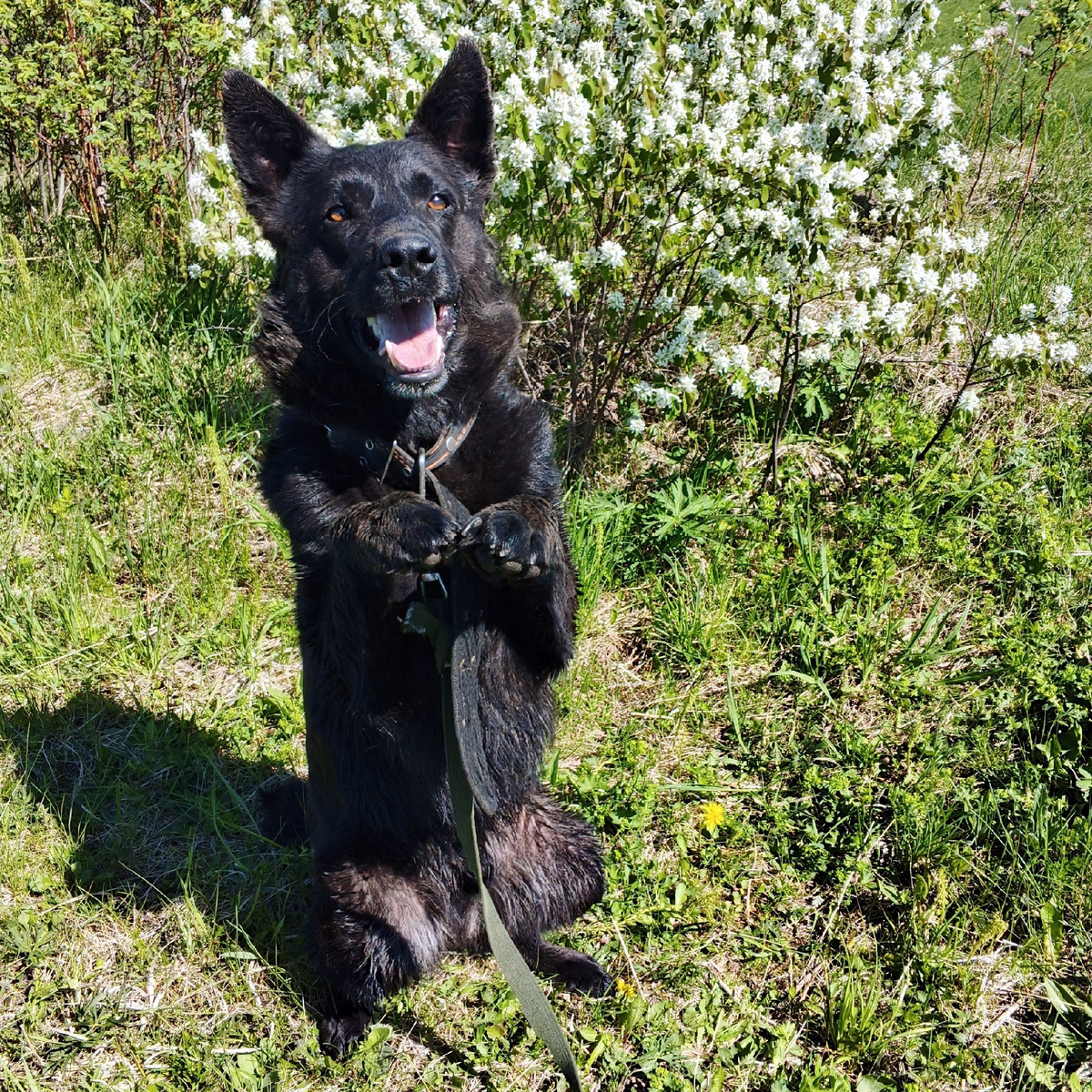 Так вышло, простите...