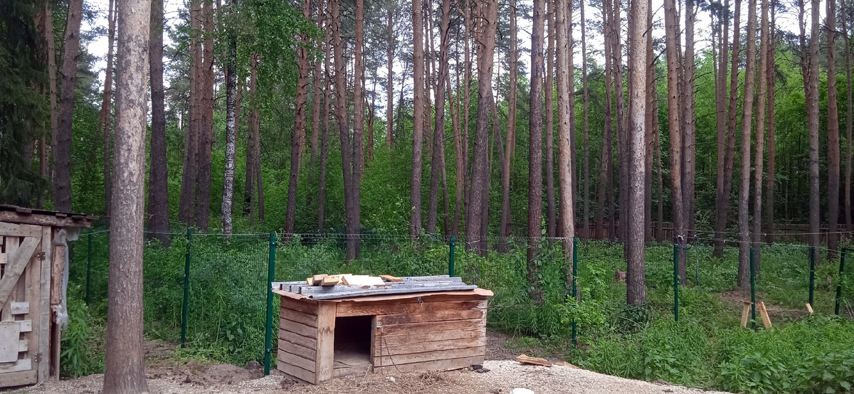 И цемент, и песок, и щебень - всё нужно