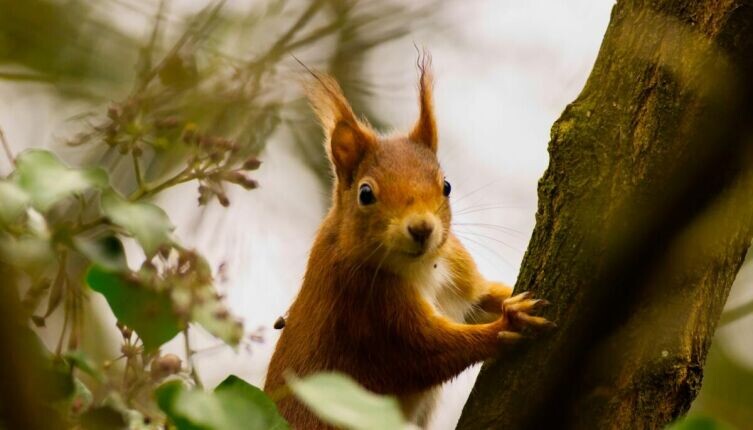     Фото: Julian on Unsplash