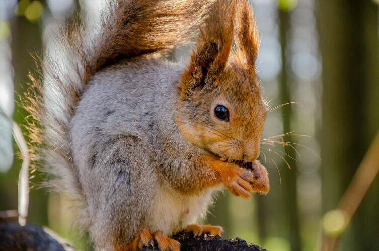    Фото: George Filatov on Unsplash