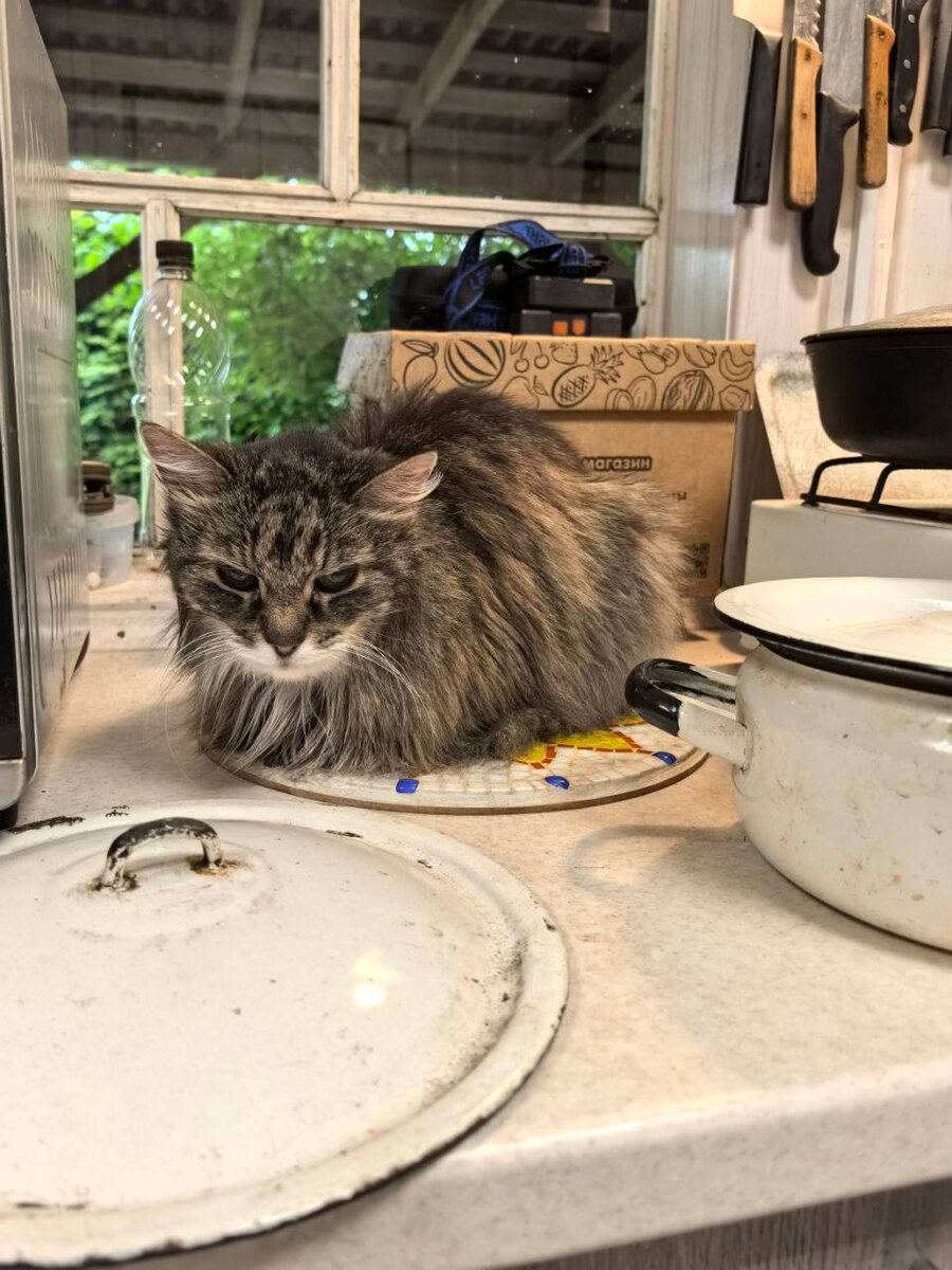 Мусильда тоже гневается 