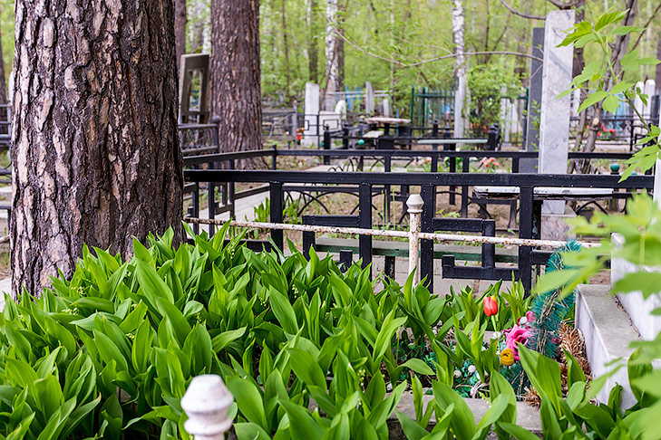    Фото Андрея Заржецкого, VN.ru