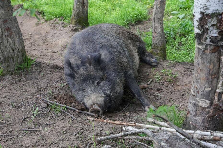    Наталья Шатохина/NEWS.ru