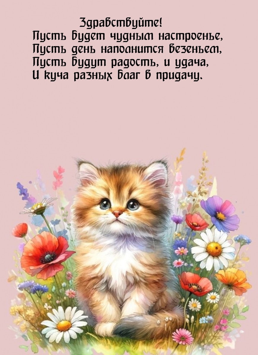 Фото из открытого источника в интернете.