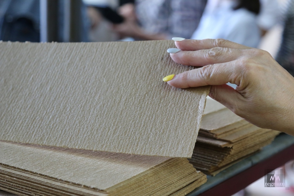    Прессованный картон / Источник: Наталья Стрельцова © ИА REGNUM