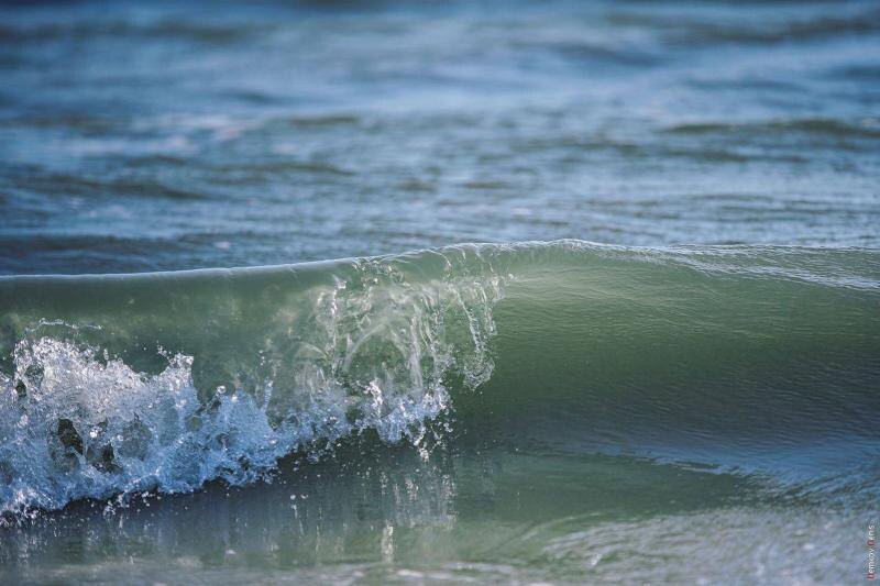    Фото Дениса Демкова admin