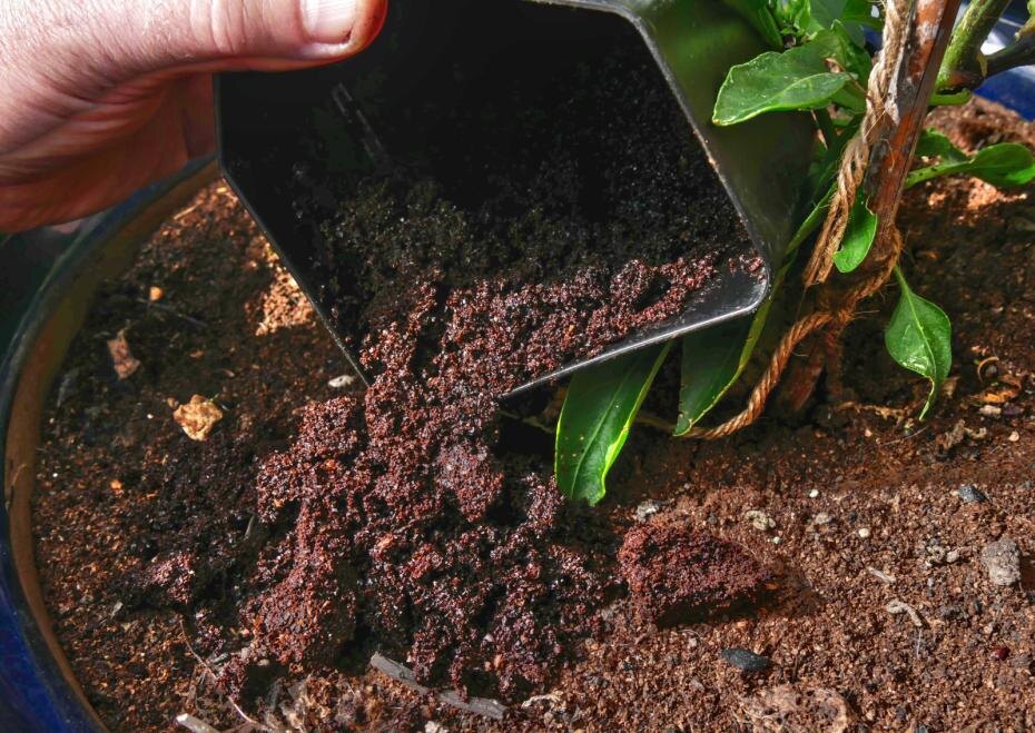    Shutterstock/FOTODOM