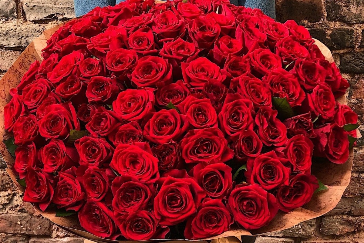 Яндекс Открытый источник 