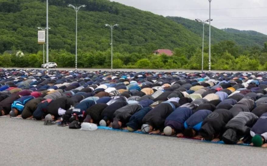    Источник фото: DPS VL