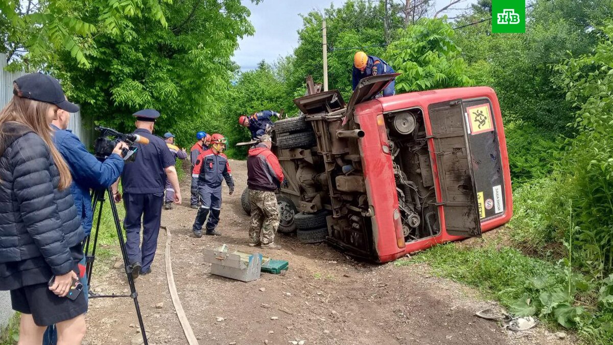    Фото: gibdd27 / t.me