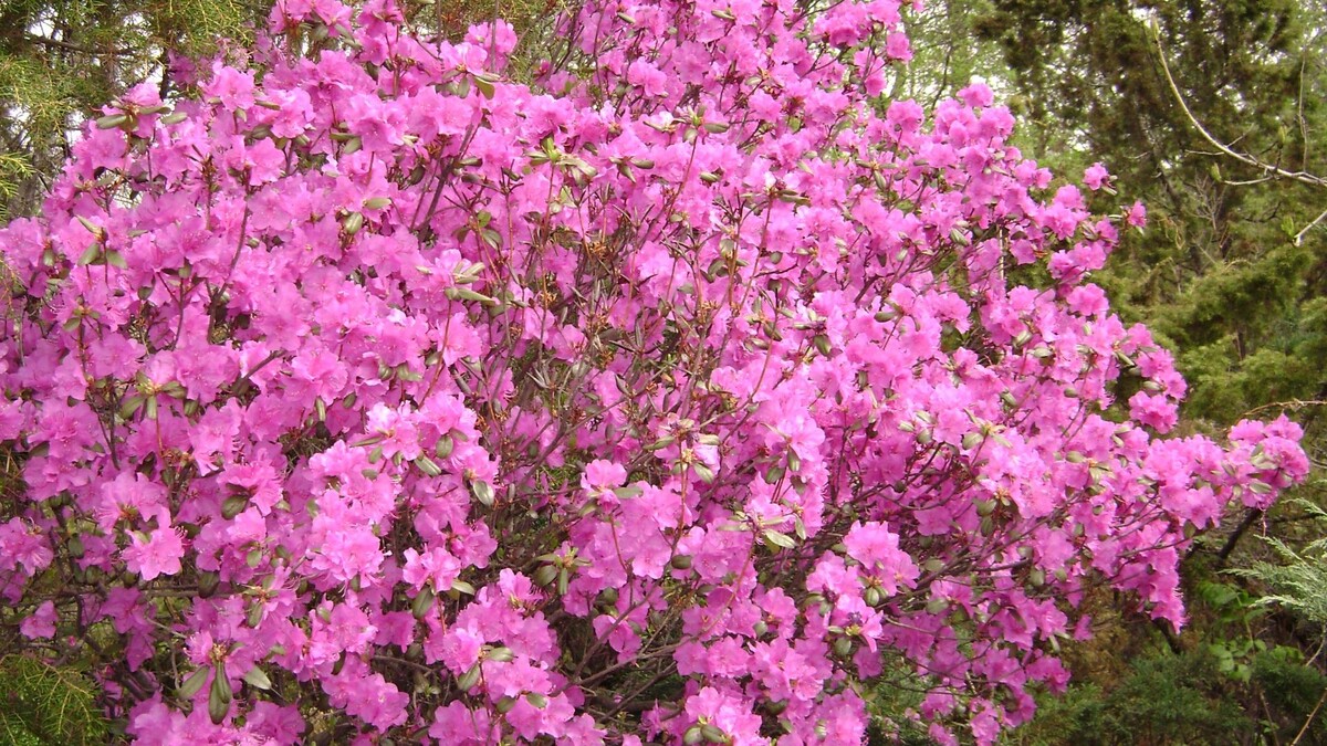     Источник: vostokmedia.com