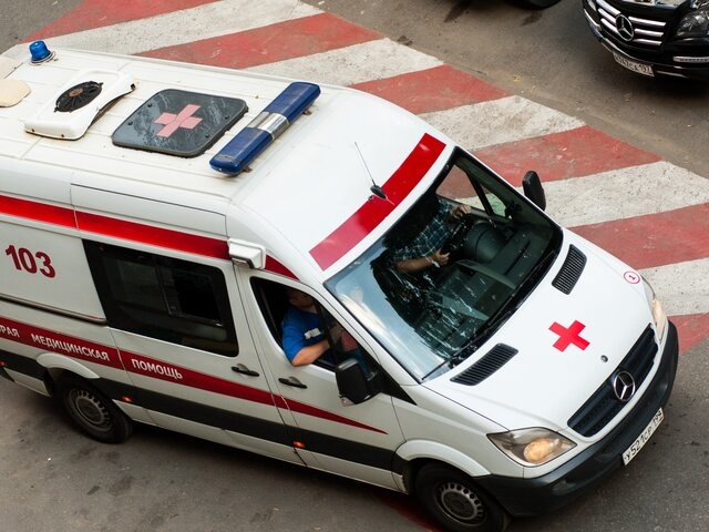    Фото: Москва 24/Игорь Иванко