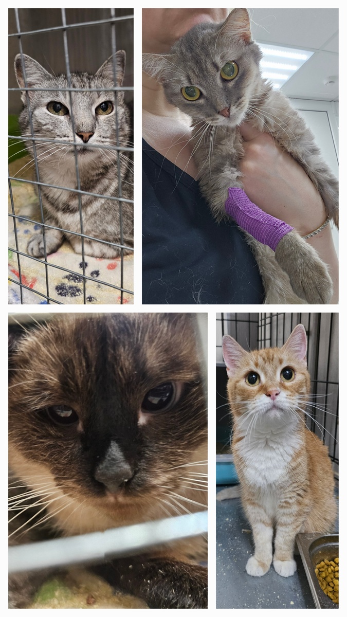 Фото автора.  Ребята заболевшие фипом.