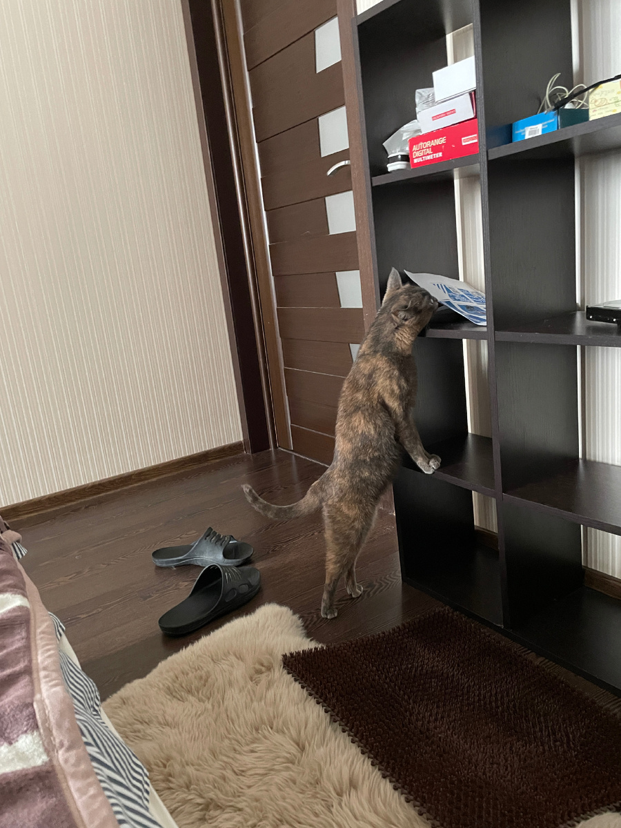 Проверить каждый угол. Задание выполняется!