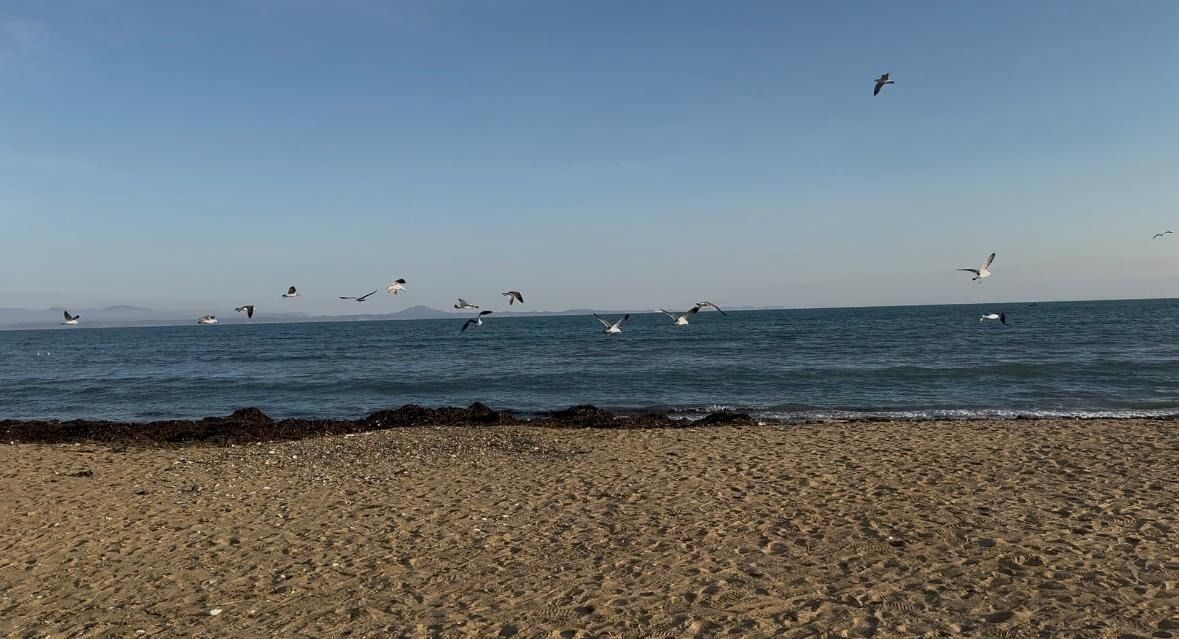     Источник: vostokmedia.com