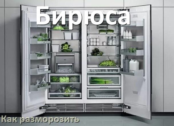 
Как разморозить холодильник Бирюса правильно и отдельно морозильную камеру