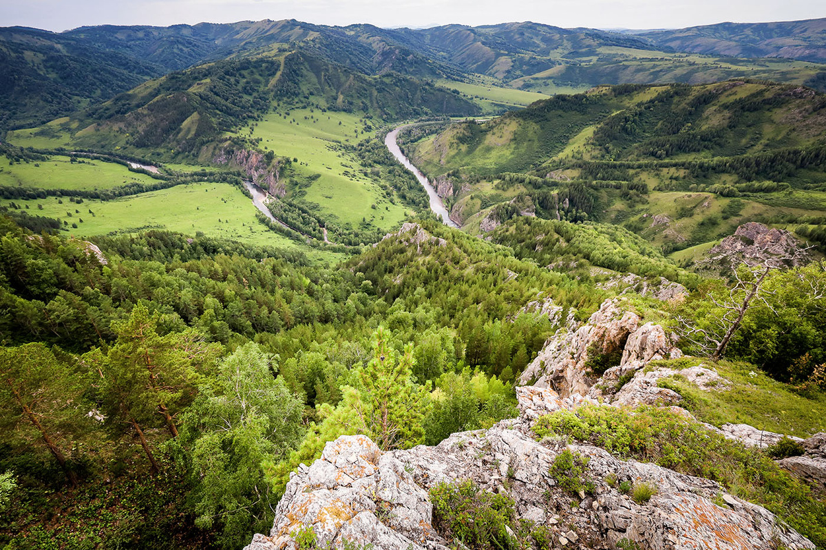  Чинетинский заказник Краснощековского района Алтайского края. Это родина нашей родни с этого первого фото.