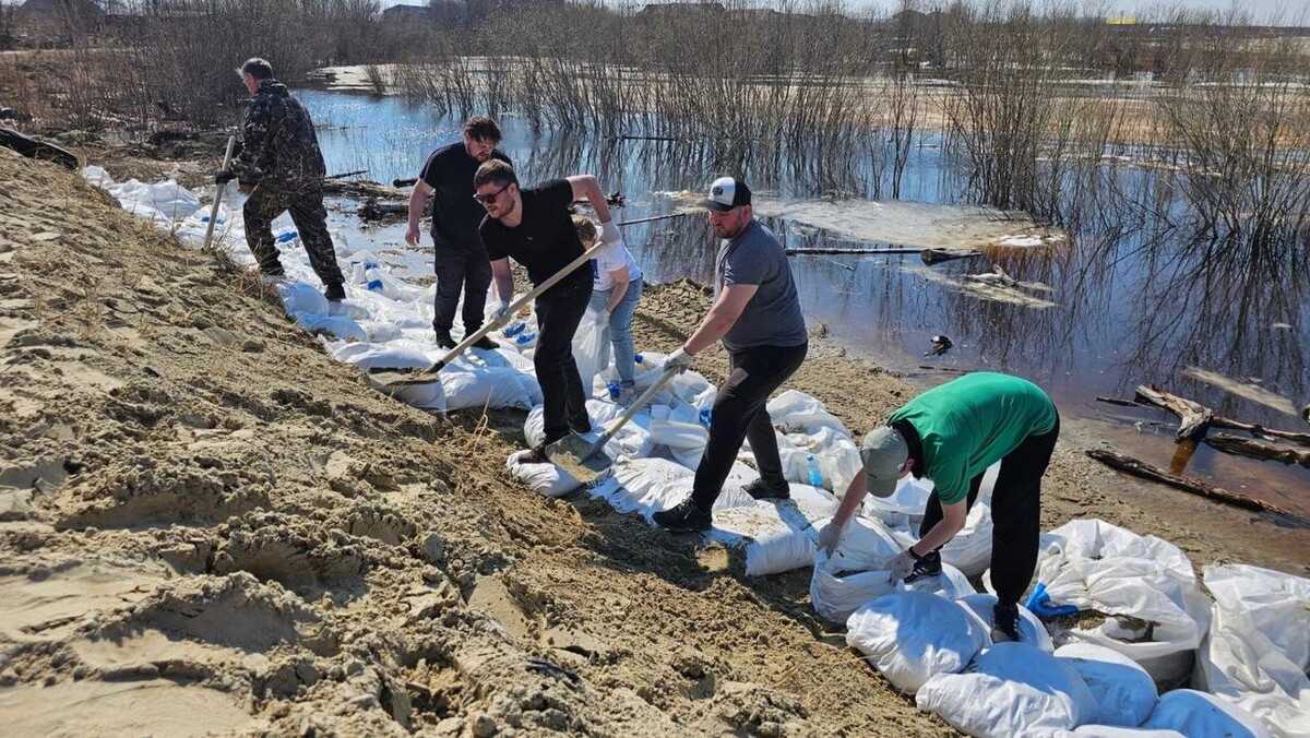    Фото: t.me/puradm