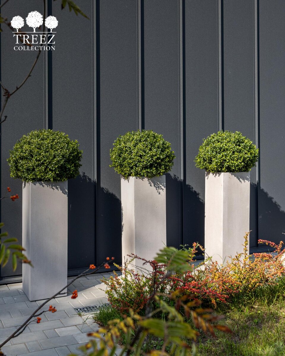 Кашпо и растения Treez Collection