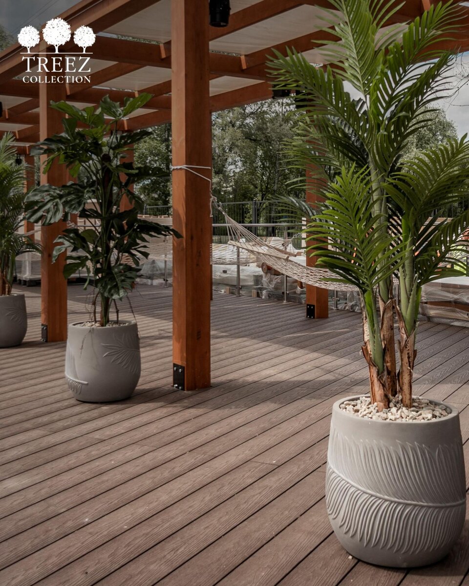 Кашпо и растения Treez Collection