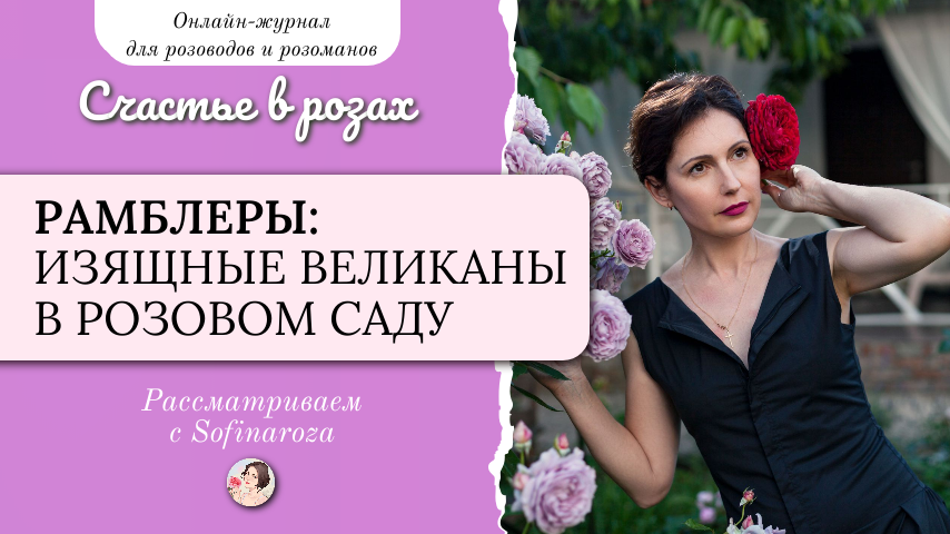 «Счастье в розах», выпуск №28, 6 июня 2025г.