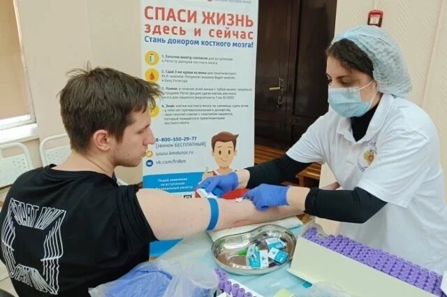    24 добровольца сдали кровь для дальнейшего HLA-типирования.