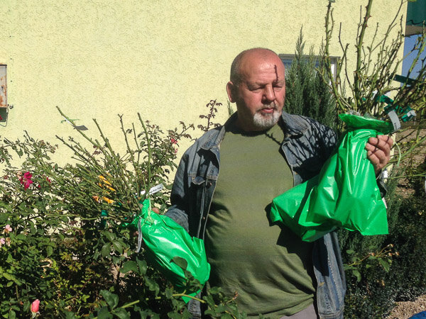 Толя с саженцами в питомнике Сергея Овчарова.