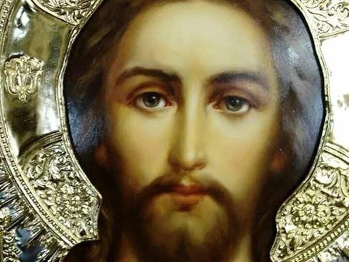 🌿Поспешим принять Слово Божие