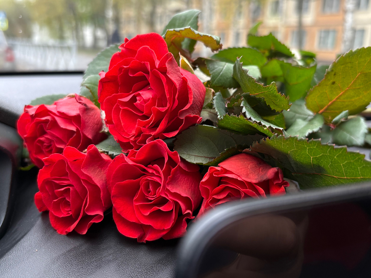 Очень люблю цветы, разбавлю рассказ  ими.