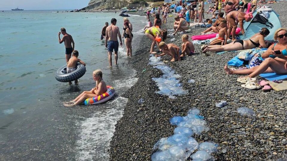 Зависимость количества мусора и медуз на пляже Сукко от направления и характера ветра