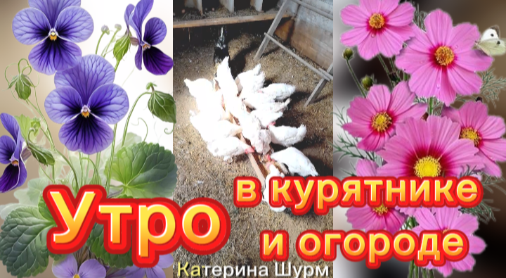 Фото автора канала Катерины Шурм