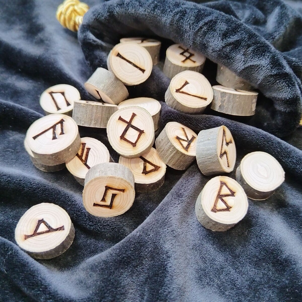 Фото из Интернета. 