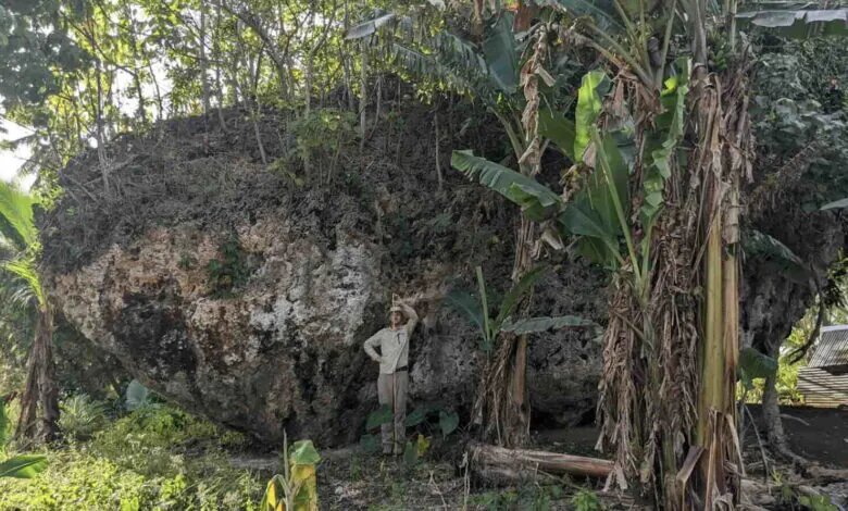 Источник: new-science.ru