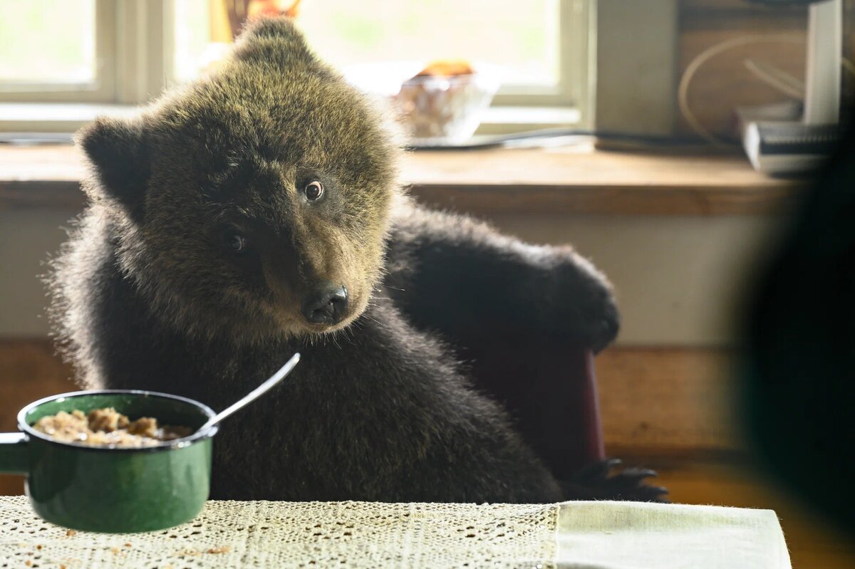 кадр из фильма