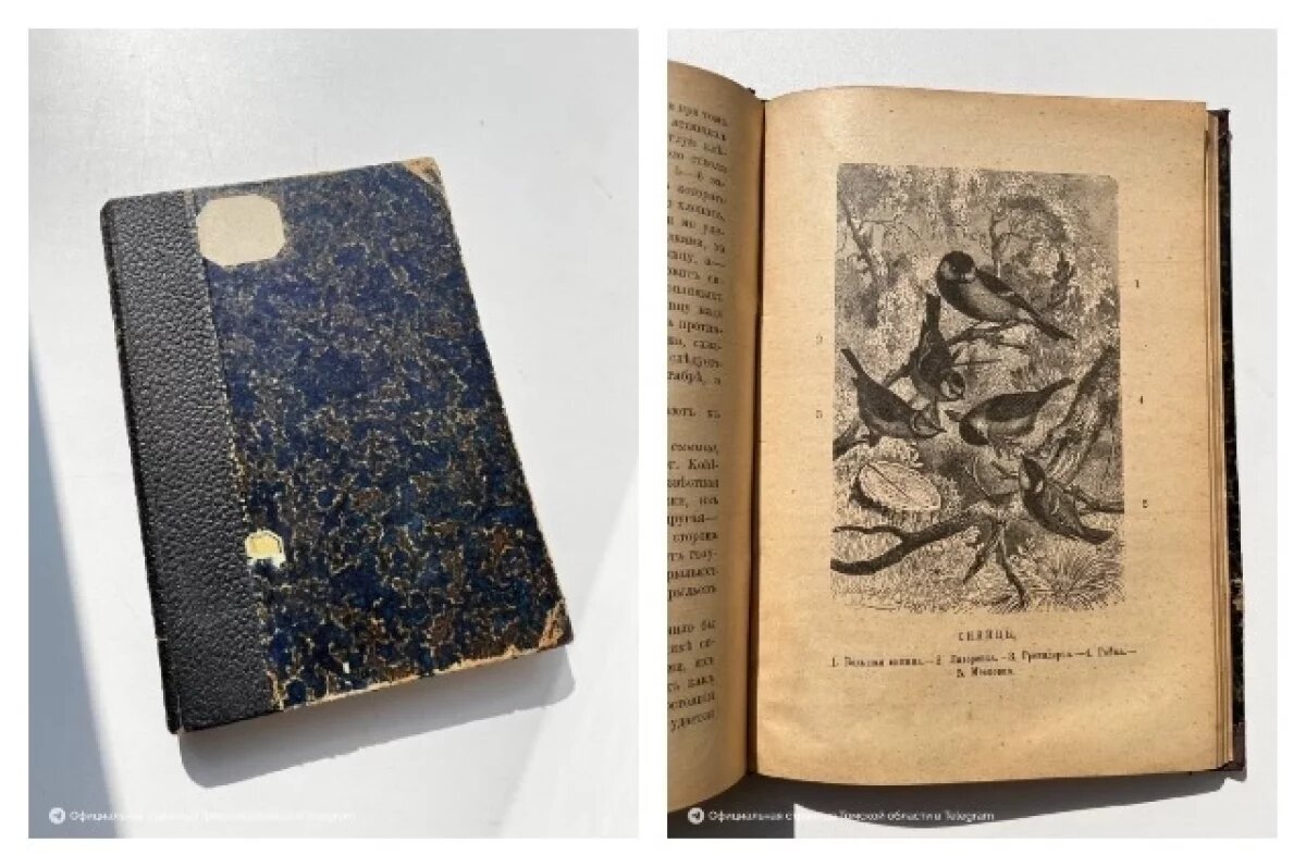    Томич нашел на даче редкую книгу 1900 года