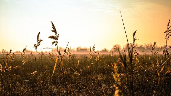    © Telegram-канал губернатора Херсонской области Владимира Сальдо