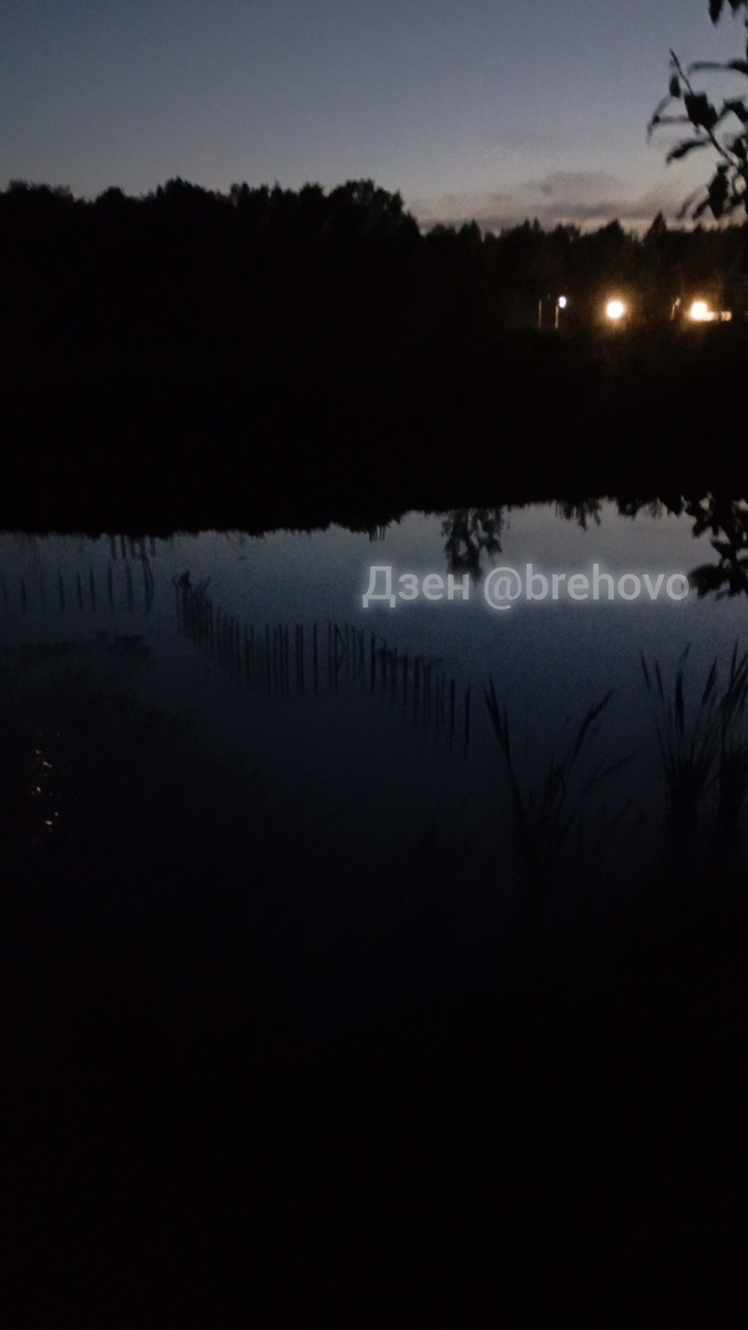 Видна арматура, которая торчит из воды, где вырыты канавы под фундамент