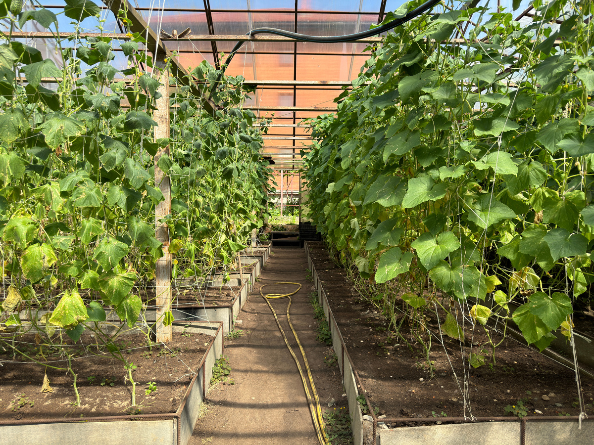 фото: Alexander Legky/Global Look Press