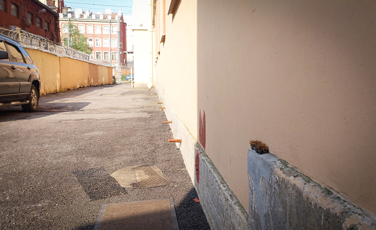 Эти четыре избушки надежно спрятались во дворе дома 24 по Большой Посадской ул. (слева от парадной №2)