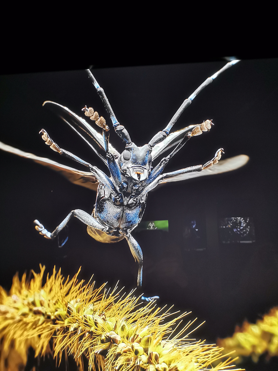 Если рассмотреть поближе...