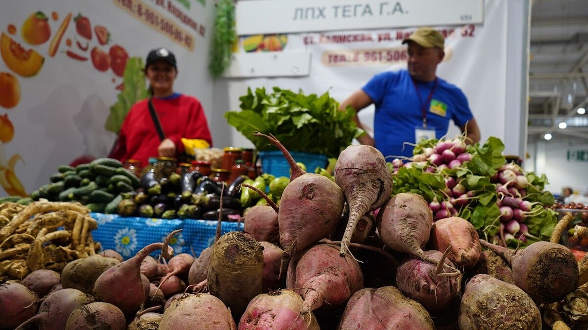    Фото: телеканал «Краснодар»