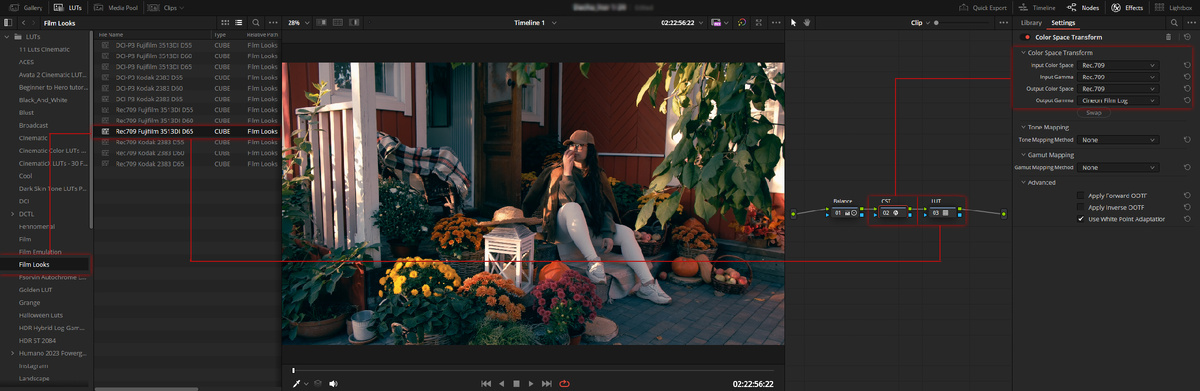 Плёночный лук. CST.  Rec709 to Cineon film log