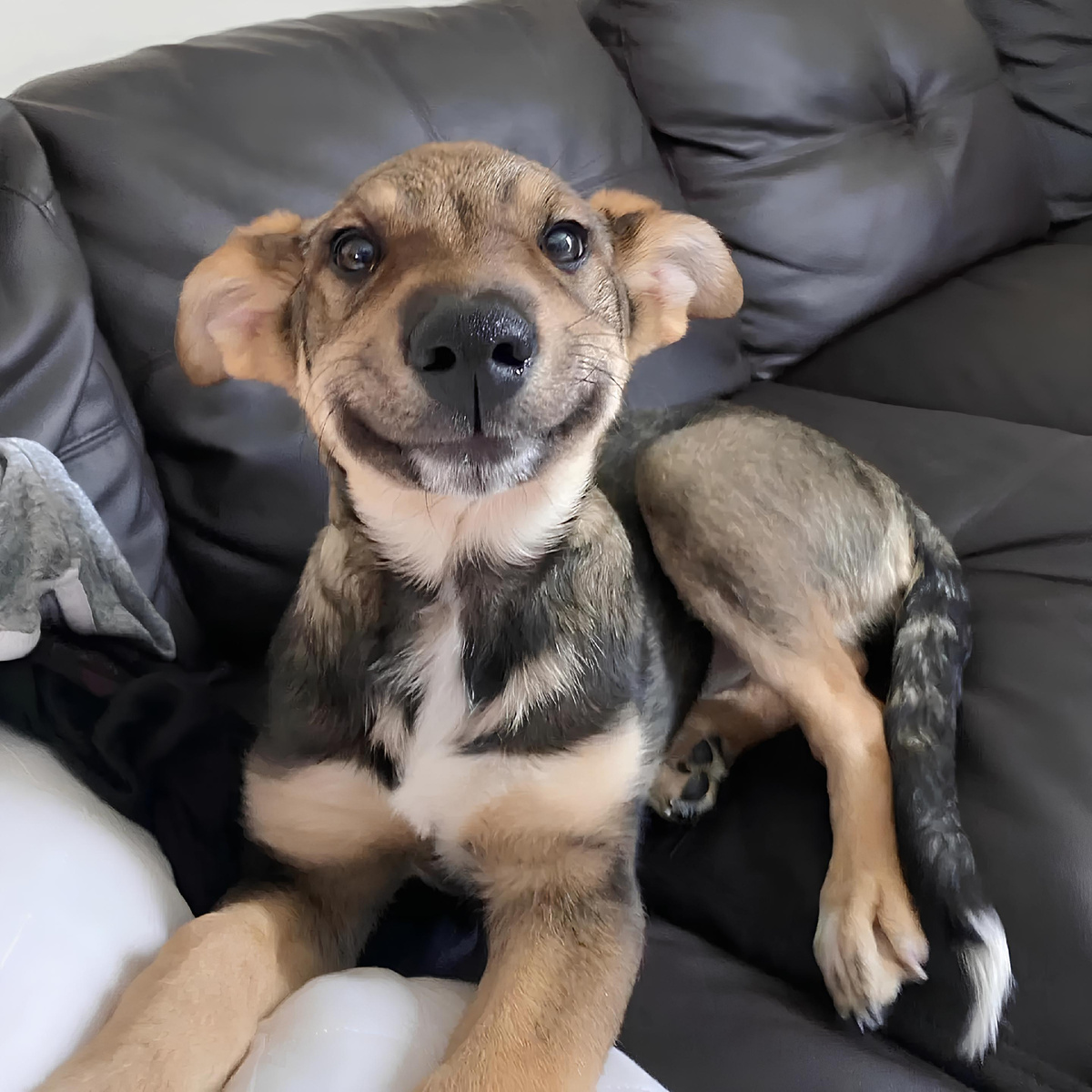 ©️ Фото из открытых источников Интернет