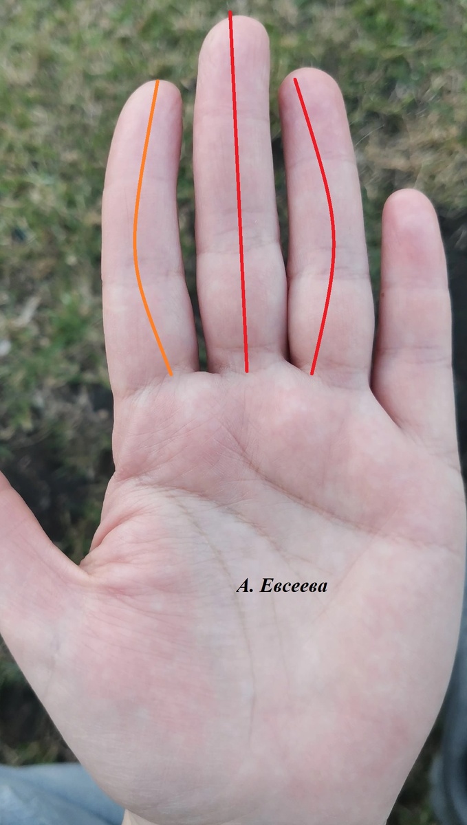 Из личного архива