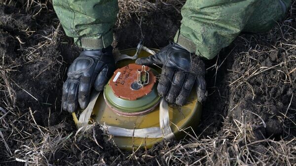    © РИА Новости . Евгений Биятов