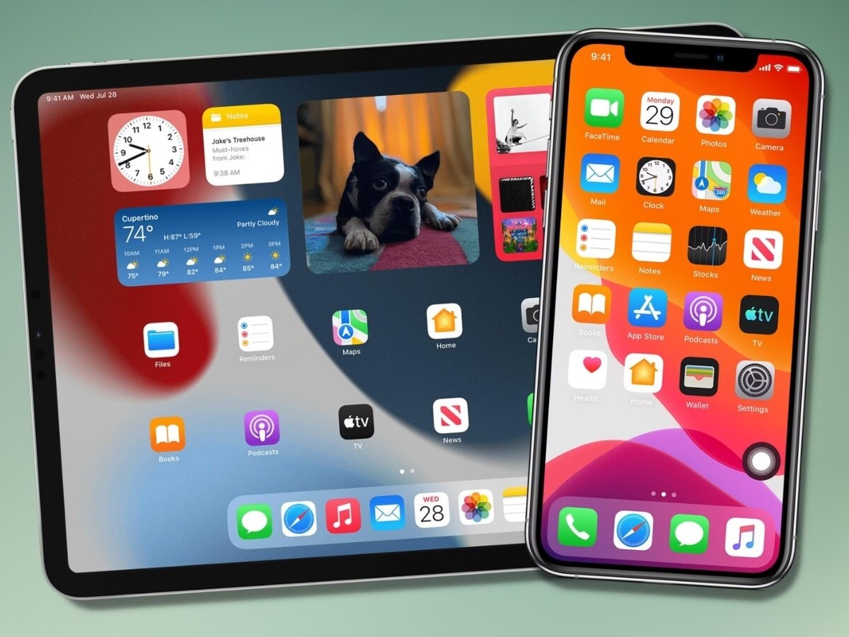    Apple рассказала, насколько популярны iOS 18 и iPadOS 18